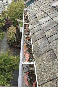 Clogged Gutter