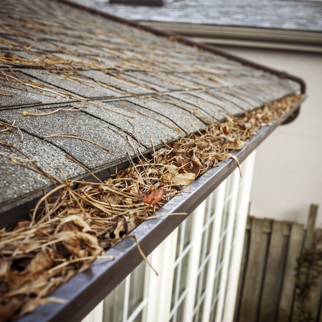 Eavestrough clogged with leaves