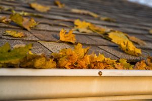 Autumn Leaves in the Gutter on a shingled roof of a house