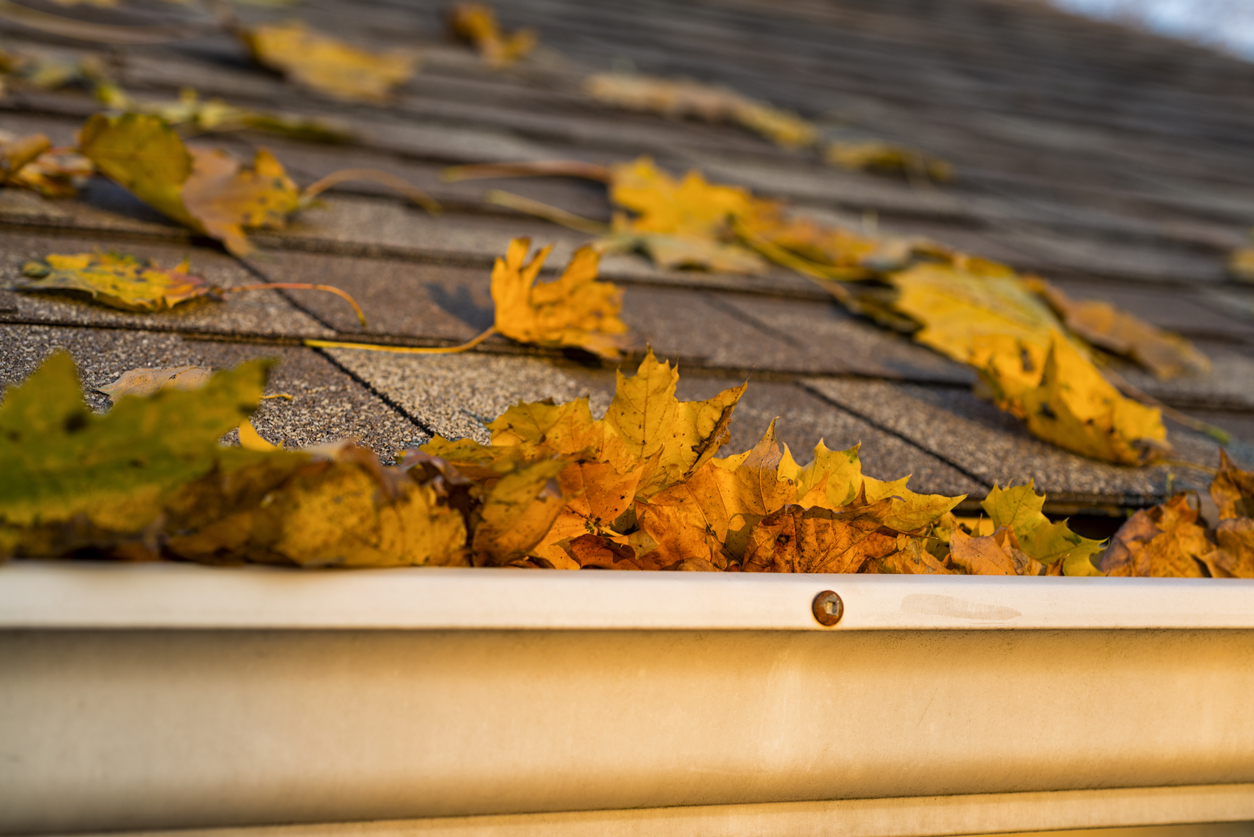 Why Fall is an Important Time to Clean your Gutters Shack Shine