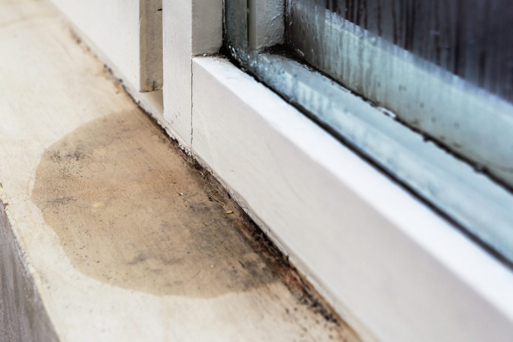 Moisture and mold problems around a house