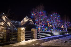 LED Lights wrapped around trees 