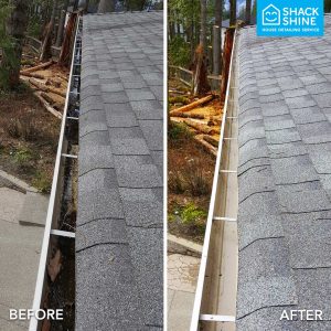 Professional gutter cleaning before and after
