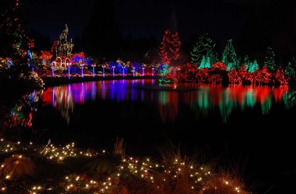 festival of lights at VanDusen, Vancouver, christmas lights