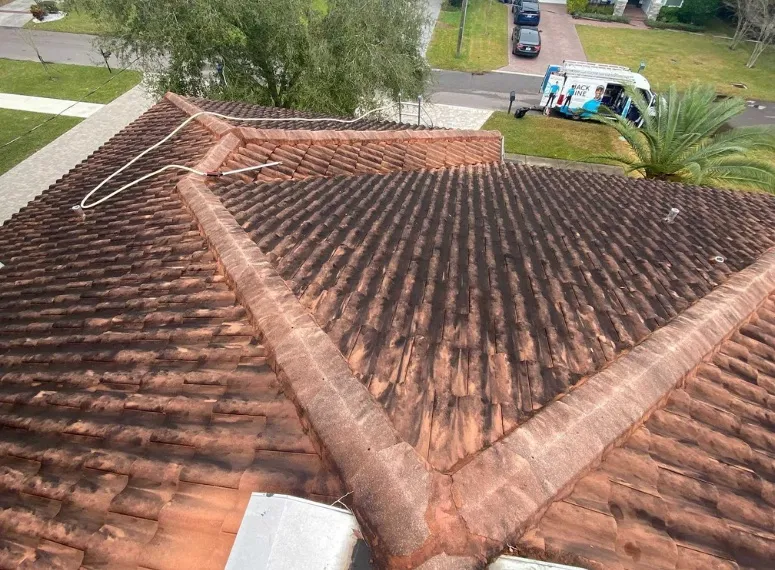 Roof cleaning before and after in Chilliwack British Columbia
